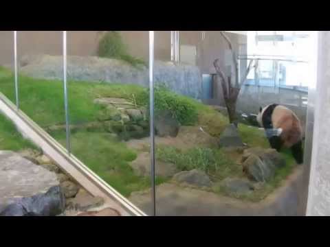20141018　海浜、優浜のウェイクアップタイムに目立ち過ぎる