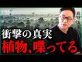 【トーキングプラント説に迫る！】聞こえないだけで植物は会話していた...！？｜小田真嘉× 篠原康幸