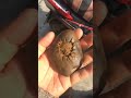 (26 items)huang long yu/huang la shi/yellow stone/mineral boulder/pebble/slice/bangle/pendant/statue