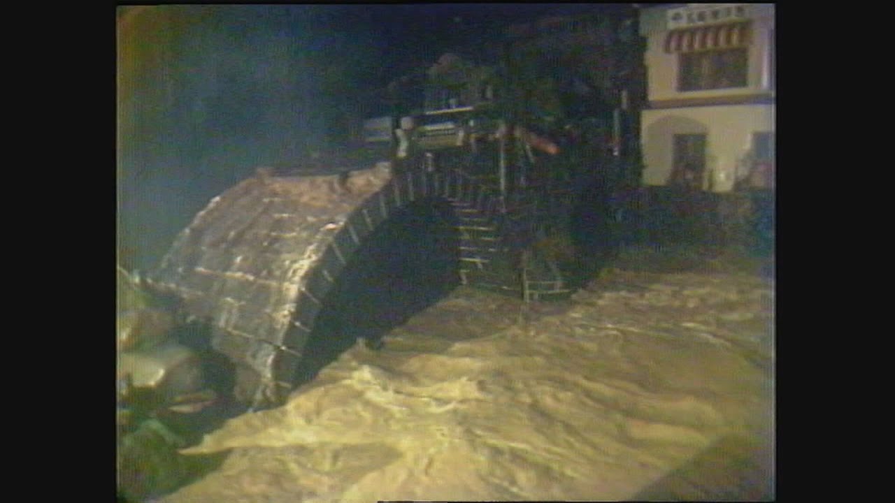 水害は人災だ: 森は死んでいる 水害は人災だ: 森は死んでいる 水害は人災だ: 森は死んでいる Amazon