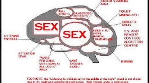 Intelligence Hud /w Striker1911