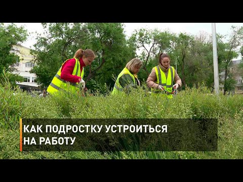 Как подростку устроиться на работу