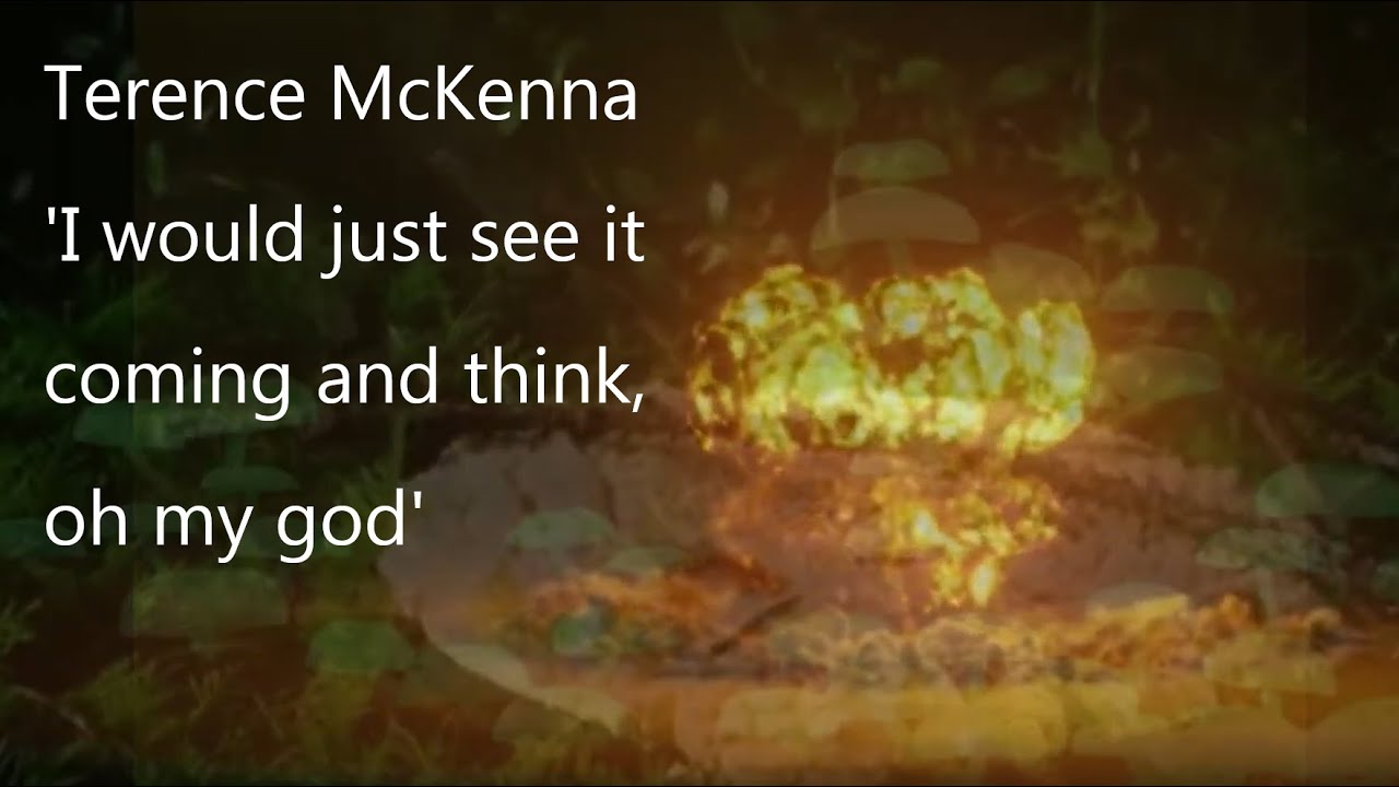 Terence McKenna- Mushroom Visuals