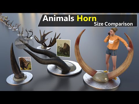 Video: What is the difference between horned animals: an overview of the horns