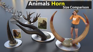 Animal Horn Size Comparison | Extinct Anima size | Fictional Animal horn size