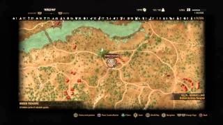 The Witcher 3: Hidden Treasure near Reardon Manor | How to find underground treasure