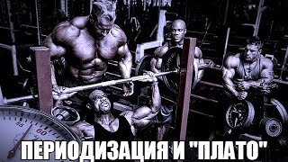 ПЕРИОДИЗАЦИЯ и ПЛАТО,(Застой Результатов) от HeavyMetalGYM(ДРУЗЬЯ! В очередной раз хочу затронуть тему периодизации и застоя результатов. Приходится это делать так,..., 2015-01-21T15:42:25.000Z)