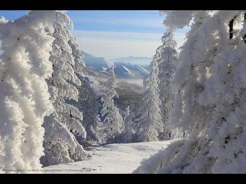 Видео: Какой регион известен как палеарктическая область?