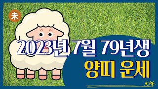 2023년 7월 79년생 양띠 운세 완벽 정리