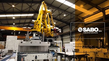 Robotic Palletizing by SABO - FAT