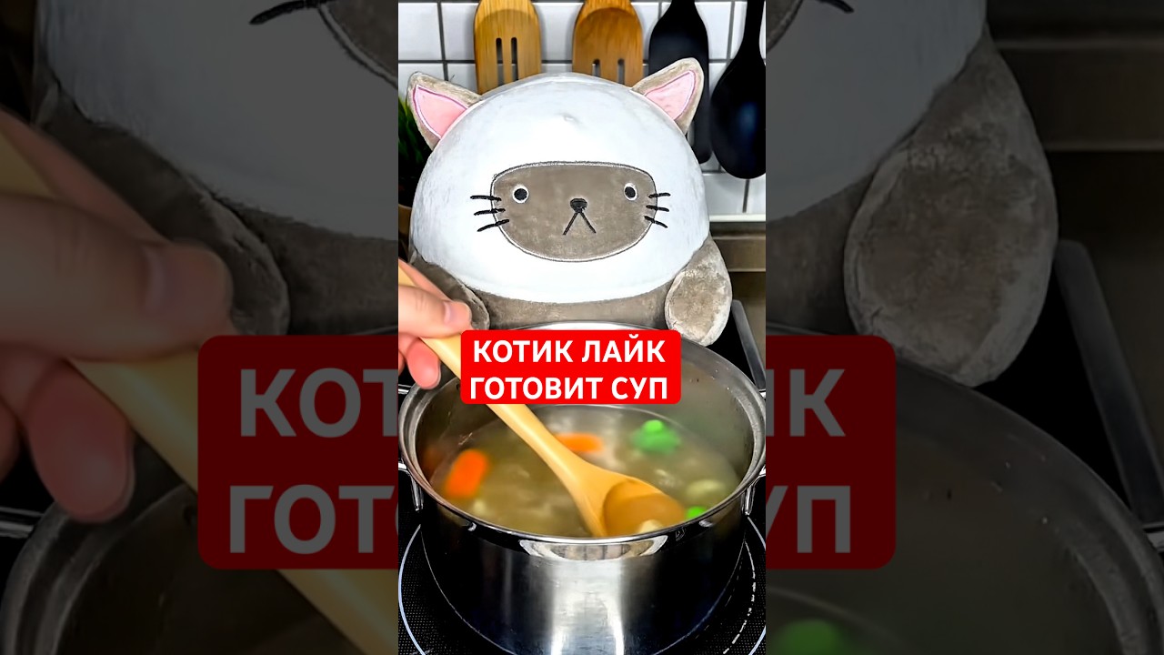 Кот, что ты делаешь? #юмор #рекомендации #прикол