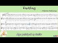 Understanding the Video Transcript