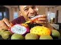 EXOTIC FRUIT TASTE TEST + BENEFITS Dragon Fruit Kiwano Horned Melon Kiwi
