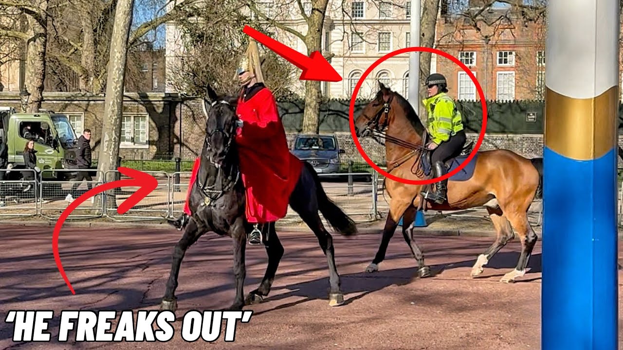 Полицейский быстро помогает конной гвардии