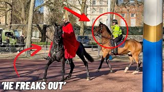 Police Officer Acts Quickly to Help Horse Guard