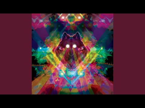 Putar I Know Your Kind - Machinedrum
