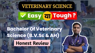 Is Becoming a Veterinary Doctor Tough or Easy? Exposed Truth Revealed!