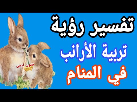 تفسير رؤية تربية الأرانب في المنام لابن سيرين تفسير الاحلام لابن سيرين