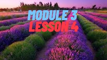 Module 3, Lesson 4