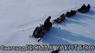 Утилитарный снегоход PROMAX YAKUT 500