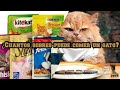 ¿CUANTOS SOBRES DE COMIDA PUEDO DARLE A MI GATITO?