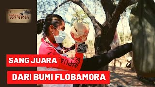 Download Lagu Sang Juara Dari Bumi Flambora - BERKAS KOMPAS