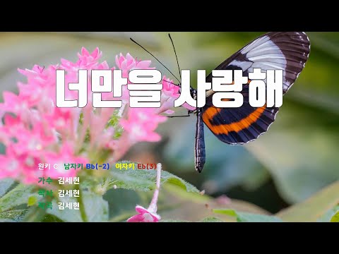 [은성 반주기] 너만을사랑해 - 김세현