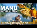 🟩 𝗠𝗔𝗡𝗨 𝗡𝗔𝗧𝗜𝗢𝗡𝗔𝗟 𝗣𝗔𝗥𝗞 𝗣𝗘𝗥𝗨 🟩 Visiting Manu national park Peru | how to get to Manu national park Peru