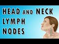 Occipital, Auricular, Cervical, Submandibular and Submental nodes - Head and Neck Lymph Nodes