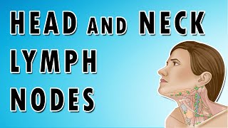 Lymph Nodes In The Neck - Occipital, Auricular, Cervical, Submandibular and Submental nodes