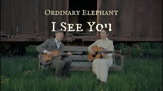 Ordinary Elephant - I See You [Official Video]