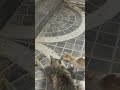 Feeding stray cat 🐈⬛ and her kittens 🐈⬛