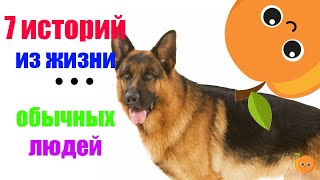 7 Рассказов Из Жизни Обычных Людей