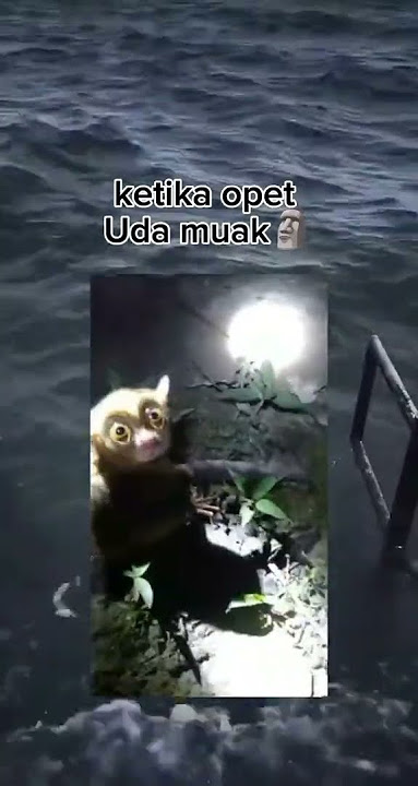 opet dunia nyata 🤣🤣 #funny #core #fypシ゚viral #lucu #opet #upinipin
