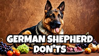 12 Things You Must Never Do to Your German Shepherd