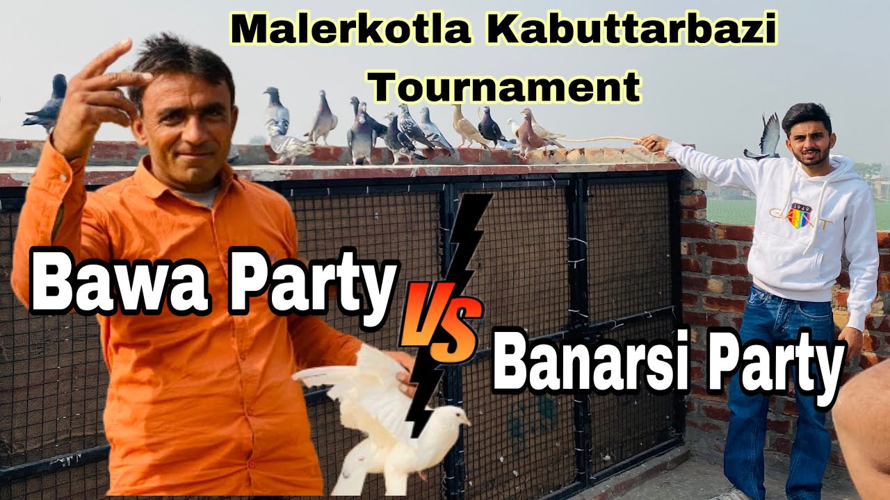 Malerkotla Kabutarbazi Tournament || Bawa party vs Banarsi party 24/11/24