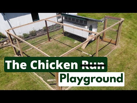 فيديو: خطط حظيرة الدجاج في الفناء الخلفي