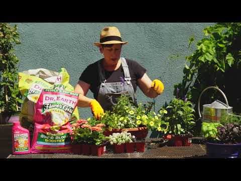 Video: Tuinieren voor Super Bowl Sunday: teamkleuren planten in de tuin