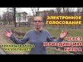 Электронное голосование через юрисдикцию Кипра. Елена Шувалова разоблачает