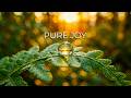 MORNING WITH JESUS - Instrumental Worship Music | Peaceful Music for Mind Relaxation