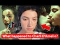 The Disturbing Truth of Charli D'Amelio's Fame