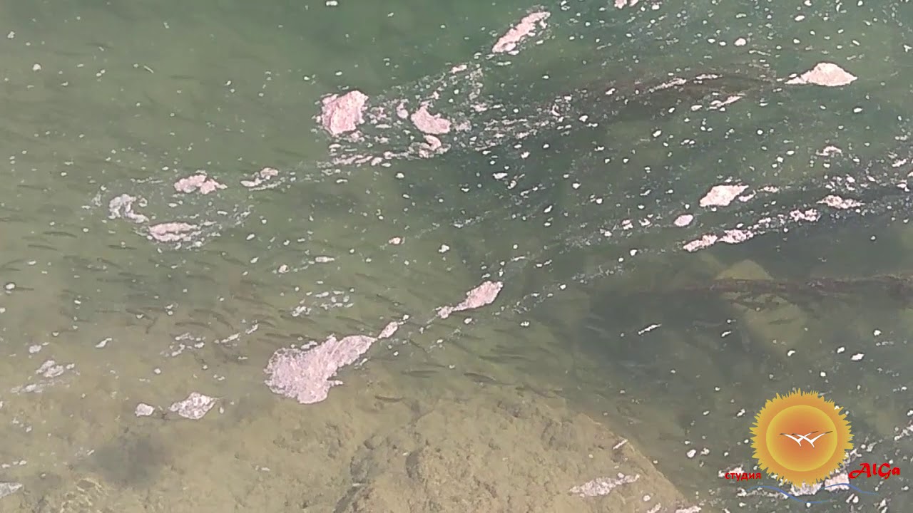 Река палец Река палец