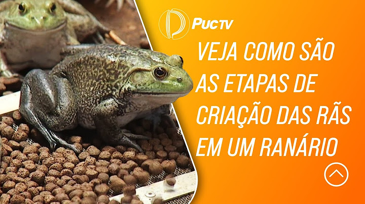 VEJA COMO SÃO AS ETAPAS DE CRIAÇÃO DAS RÃS EM UM RANÁRIO