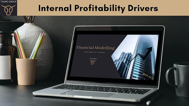 A Basic Course in Financial Modelling for Mining Companies - 4 Internal Profitability drivers