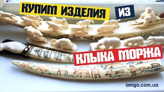 Изделия из клыка моржа | Продать | Оценить | amgo.com.ua