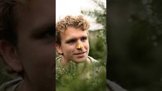 Heres Something You Can Not Get For Christmas