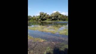 River Una/??? ???? ??????? ? ?????? ??? 2021