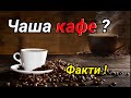 Интересни факти за кафето