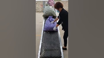 Belt conveyor, cement loading, fertilizer loading, box bagging, logistics loading