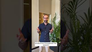 Source.ag introduces Plant Balance Metrics Part 1